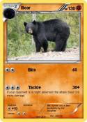 Bear