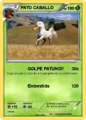 PATO CABALLO