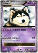 chien