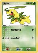 beyleef