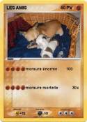 LES AMIS