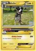 shoko