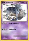 irish wolfhound