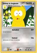 homer le bogaus