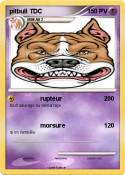 pitbull TDC