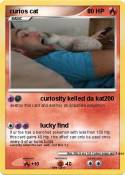 curios cat