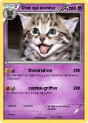 Chat qui domine