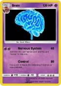 Brain