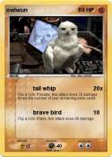 owlwun