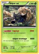 Sniper cat