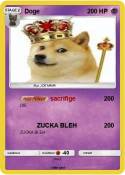 Doge