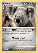 koala