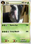 dog