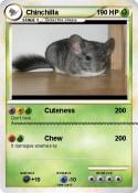 Chinchilla