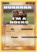 HOERS