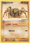 Araignchouette