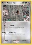 Wood Pecker