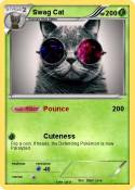 Swag Cat