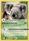 koala