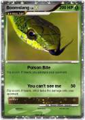 Boomslang