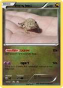 Horny toad