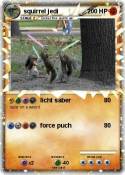 squirrel jedi