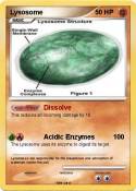 Lysosome