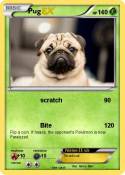 Pug