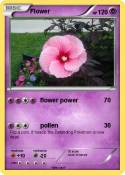 Flower