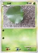 Leaf