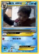 LIL ANUJ