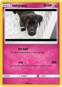 sad puppy