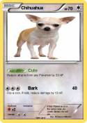 Chihuahua