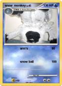 snow monkey