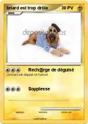 briard est trop