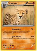 cheeta ex