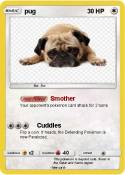 pug