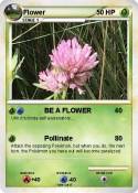 Flower