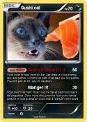 Sushi cat