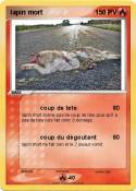 lapin mort