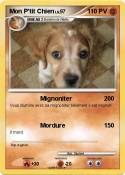 Mon P'tit Chien
