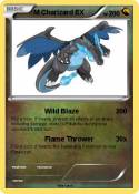 M Charizard