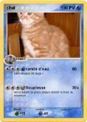 chat