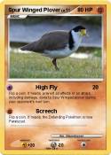 Spur Winged