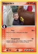 dragon feu x