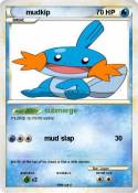 mudkip