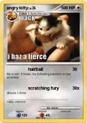 angry kitty