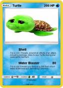 Turtle