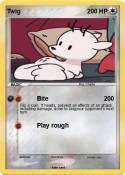 Twig