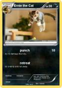 Ernie the Cat